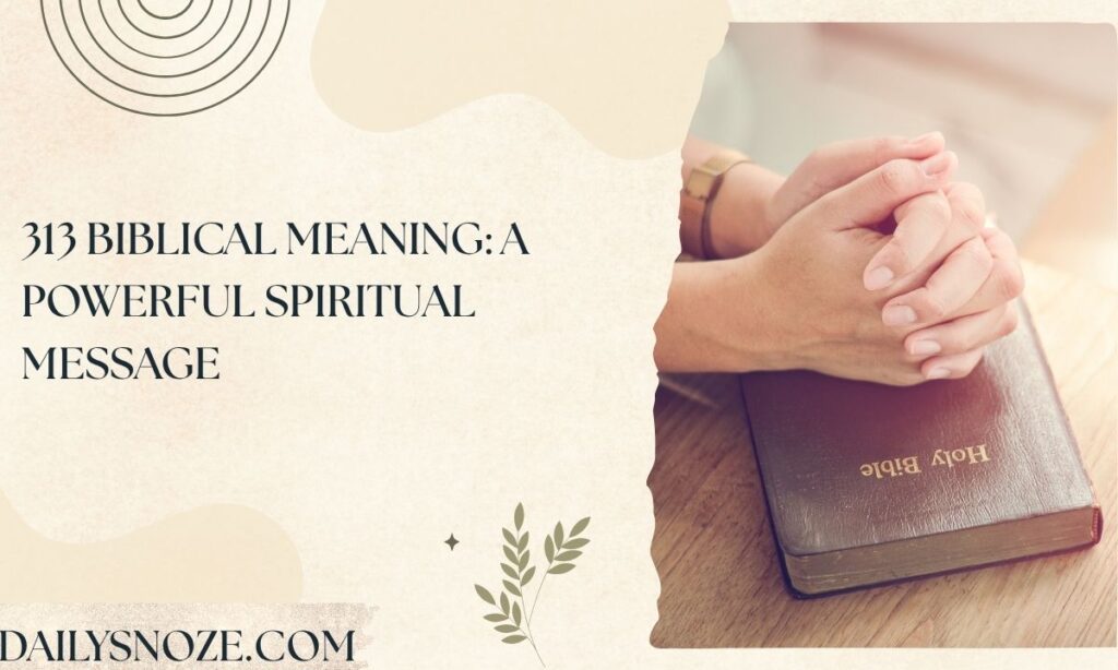 313 Biblical Meaning A Powerful Spiritual Message