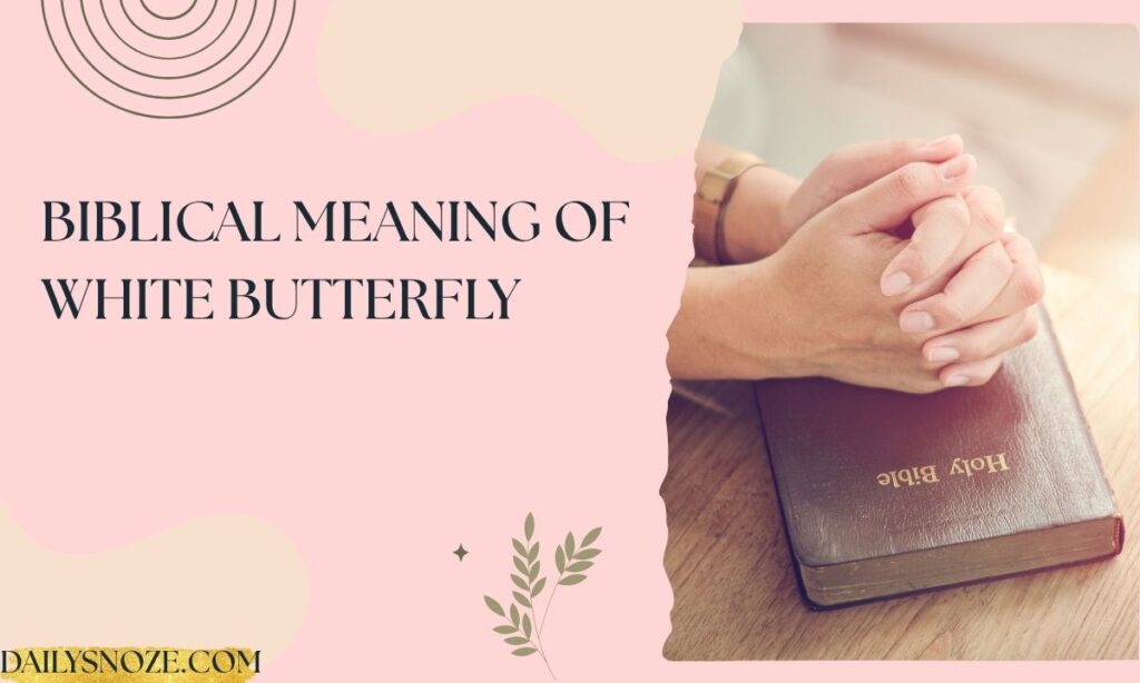 Biblical Meaning of White Butterfly (1)