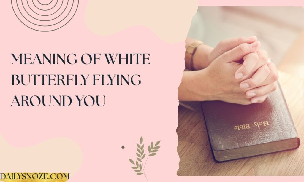 Meaning of White Butterfly Flying Around You